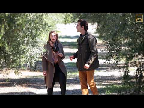 A Stroll In The Olive Groves Of Spain's Masía el Altet