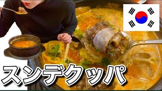 【韓国vlog@大邱~일품돼지국밥~】韓国通さん！スンデクッパデビューどうですか？