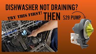 Dishwasher Not Draining? Easy Fix