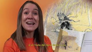 Video 19
