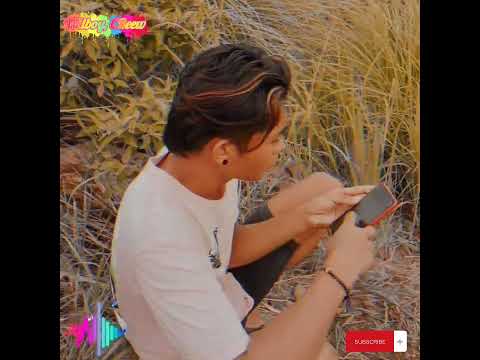 bongkar bongkar abu new. 2023