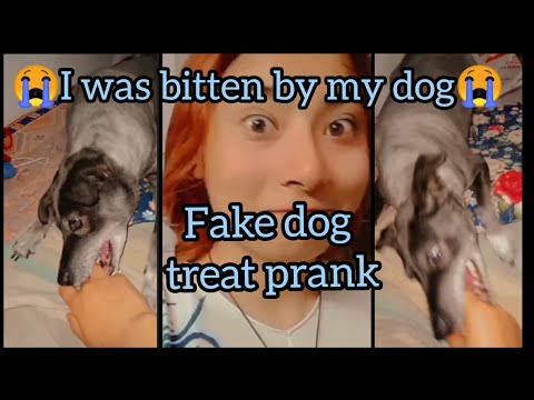 I was bitten by my dog when i did fake treat dog challange😭| sudeshna maharjan