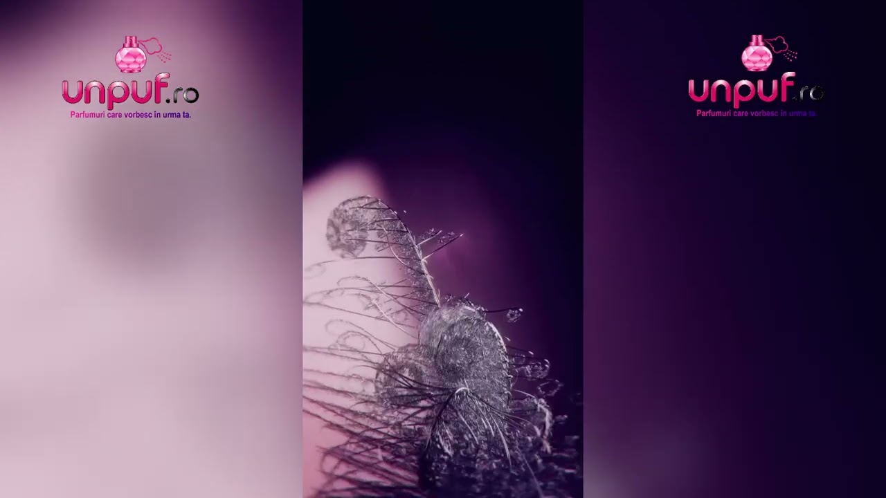 Video produs