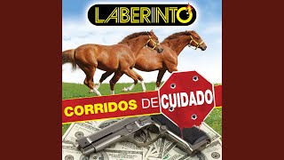 El Transformer Y La Cobra