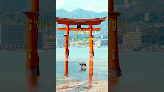 Miyajima - The Island of the Gods #hiroshima #fx3 #cinematic