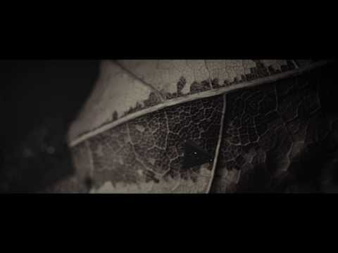 Kashuks - Universe | OFFICIAL VIDEO