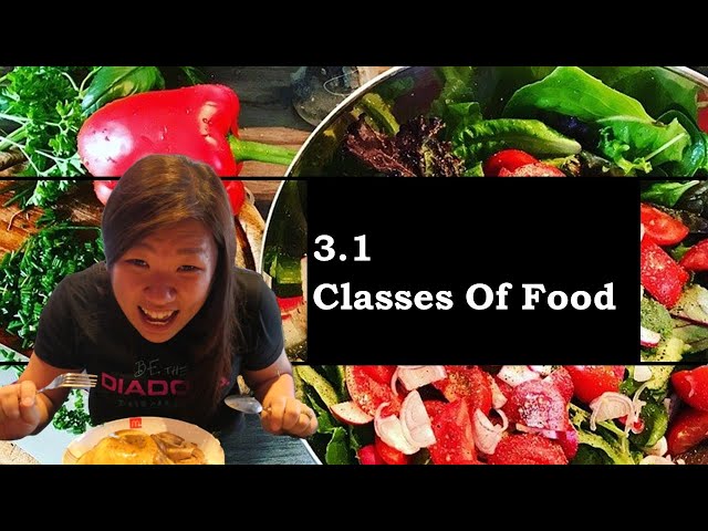 Understanding the Seven Classes of Food: A Comprehensive Guide to ...