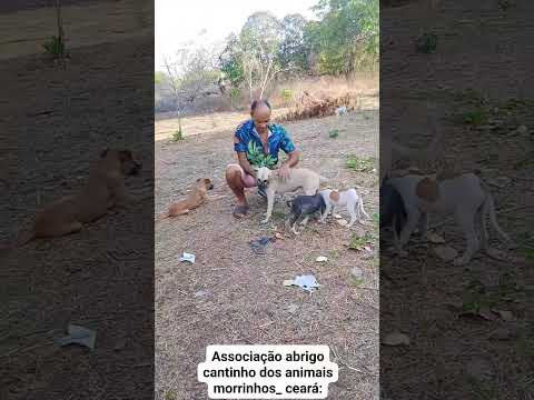 4 de dezembro de 2025