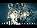 Turkish Attitude Ringtone Turkish Music Famous Turkish Ringtone AudioZone VR Relaxing Music