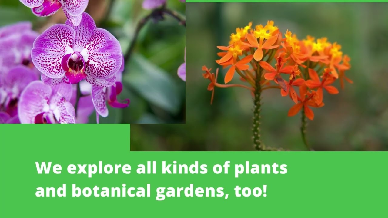 Introducing Tropics Lifestyle Magazine ~ It's a Coastal Literary Adventure