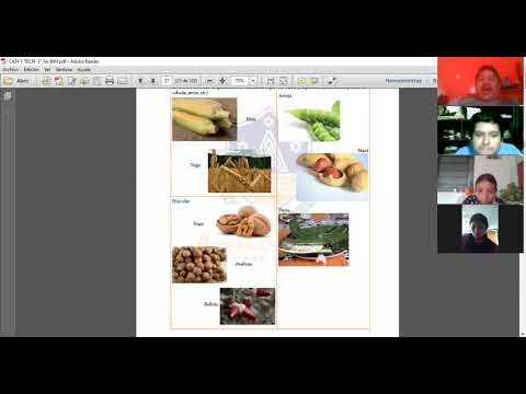 EL FRUTO BIOLOGIA 3RO