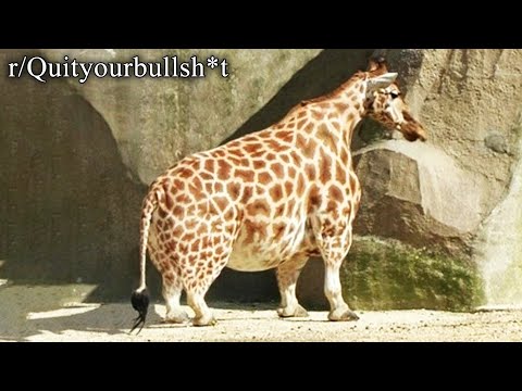 r/Quityourbullsh*t | IT'S THICK THIRTY!