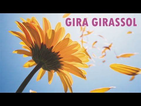 Gira Girassol - Celso Lira