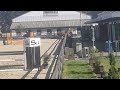 Super hongre amateur id&eacute;al cce