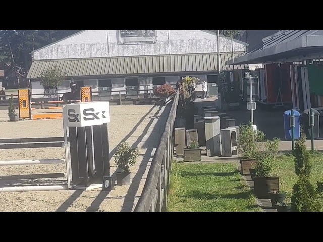 Super hongre amateur id&eacute;al cce