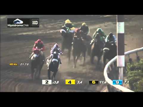 Clásico "Selección de Potrancas" - 28-02-2015 - HCH