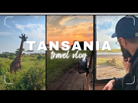 Tansania SCHOCKT uns: Traum-Safari & Kilimandscharo-Enttäuschung!