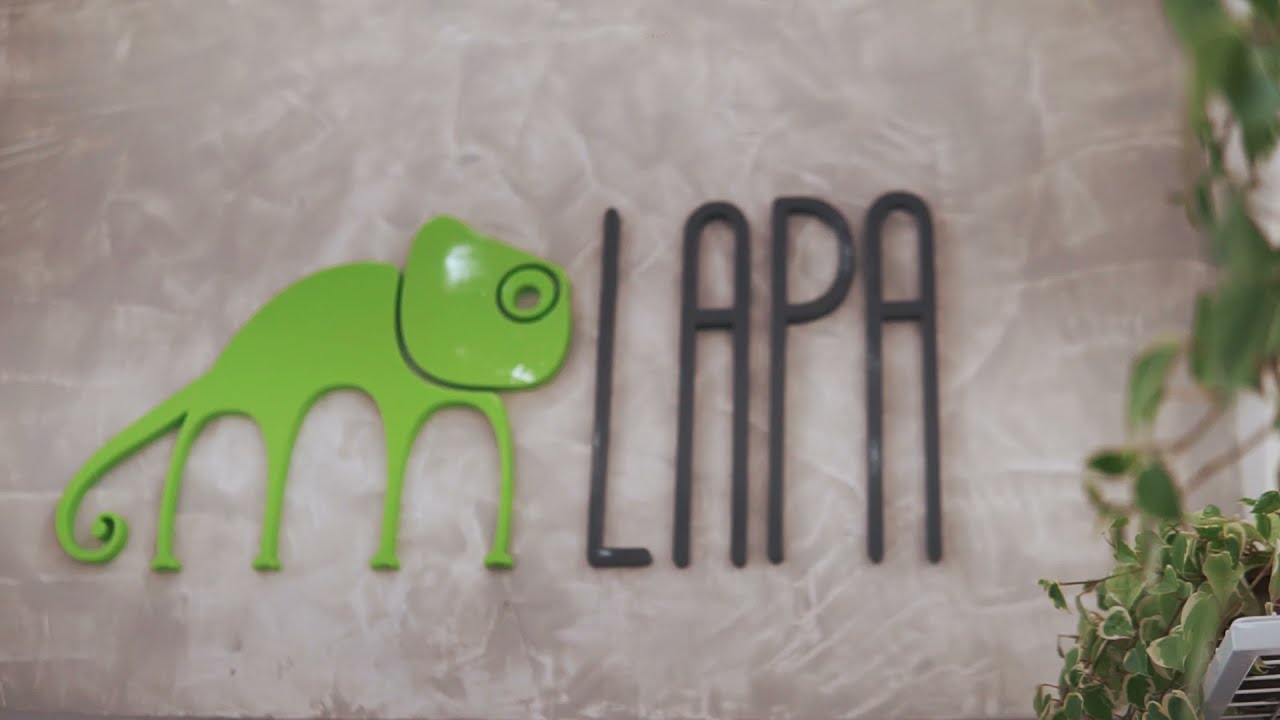 Lapa Shoes