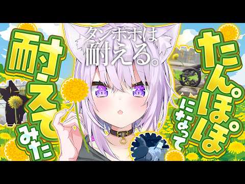 たんぽぽおかゆです🌼 thumbnail
