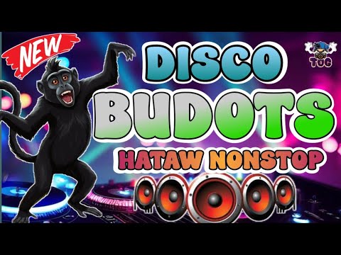 BUDOTS DISCO HATAW NONSTOP | BUDOTS MIX NONSTOP 2025 COMPILATION