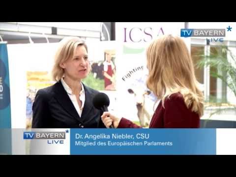 Brüssel - Bericht vom 07.07.2013 auf TV BAYERN LIVE*