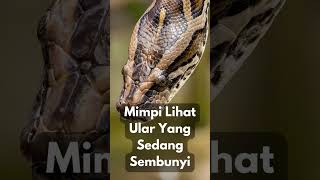 Download lagu The Meaning of Dreaming About a Hidden Snake mp3 Download lagu The Meaning of Dreaming About a Hidden Snake mp3