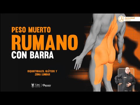8 Peso muerto rumano con barra