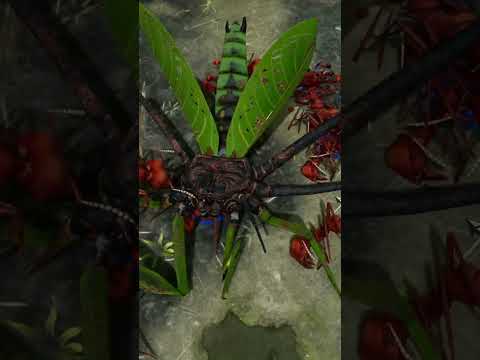 The Final Experiment | Formicarium Challenge 4  #empiresoftheundergrowth #ants