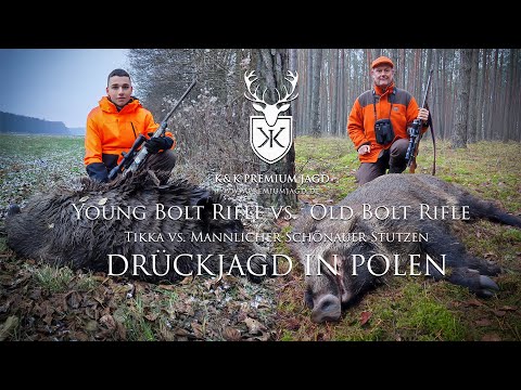 Young Bolt Rifle vs. Old Bolt Rifle - Wenn zwei Generationen auf die Jagd gehen - Drückjagd in Polen