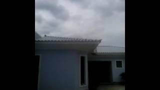 Pardo Cigano x Mirabel CRB