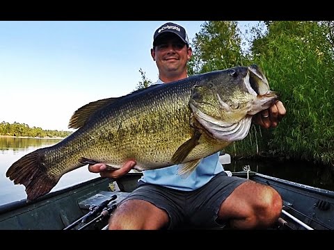 Topwater Bass Fishing Blowups Series 6 - 50 Big Bass Strikes