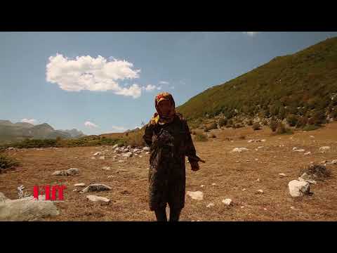 BELOVED - Director Yaser Talebi - Friday 19Apr 20:40