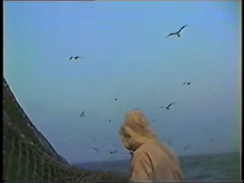 Kw 51 - Harmen Senior