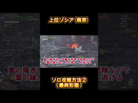 上位ゾシアソロ攻略方法②（最終形態）!!【モンスターハンターワイルズ】＃shorts