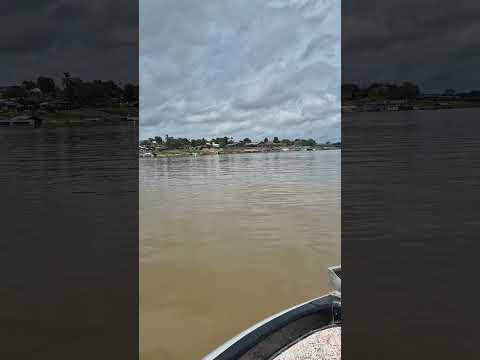 Atalaia do Norte, Amazonas Brasil 🇧🇷, Río Yavari #fishing #pesca #fish