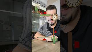 Download lagu Paint Lirili Larila IQ mp3