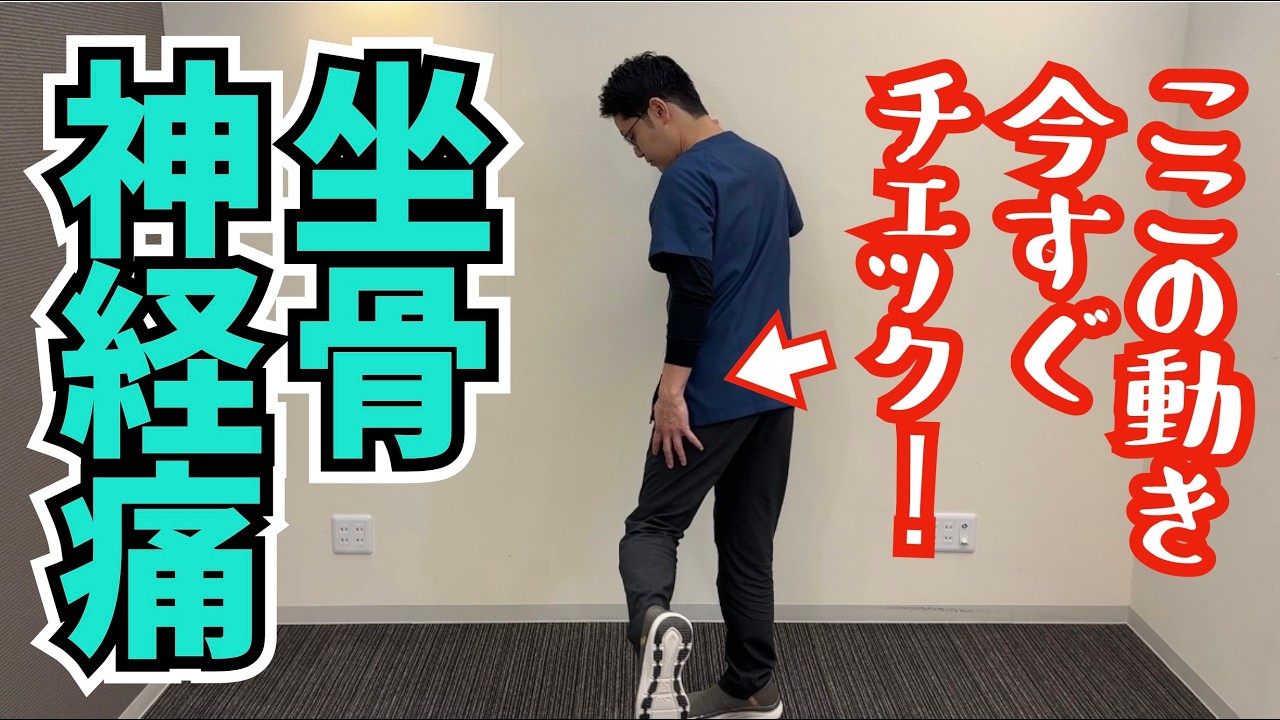 ここが動くと良くなる！坐骨神経痛の原因と自分でできるストレッチ　｜京都市北区　もり鍼灸整骨院