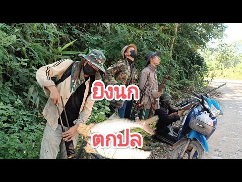 คลิกเพื่อดูคลิปวิดีโอ