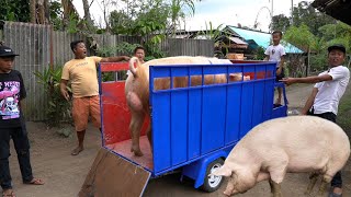 Download lagu NAIKIN B4B1NYA RAMA KE TRUK BARU, KUAT GAK YA? mp3 Download lagu NAIKIN B4B1NYA RAMA KE TRUK BARU, KUAT GAK YA? mp3