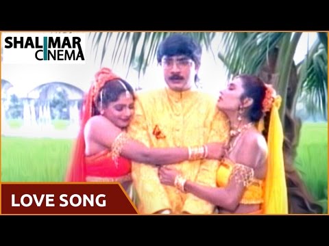 Love Song Of The Day 289 || Telugu Movies Love Video Songs || Shalimarcinema || Shlimarcinema