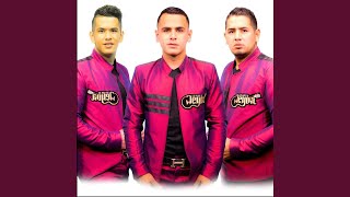 Te Metiste Lyrics English Translation