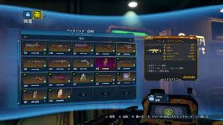 borderlands3　ボダラン3  野良とひゃっはー