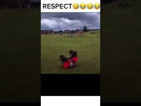 criança vida loka #shorts