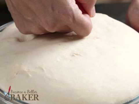 Yeast Baking:  Punching Down the Dough