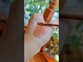 Best Nude Lipstick For Indian Skin Tone Everyday Makeup Part 6