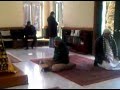 Bawa Mohiuddin Visit By Faridi Family 13 3GP