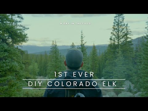 First Ever: A DIY Backcountry Elk Hunt on Public Land in Colorado