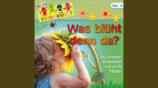 Die Blümelein, sie schlafen