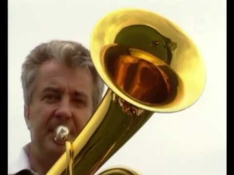 Ansambel Nika Zajca - Gremo na veselico