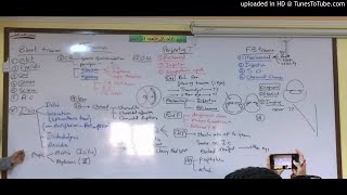 36) Dr. Wael Salah trauma 2